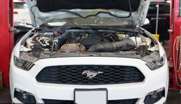 Ford Mustang Feature Image