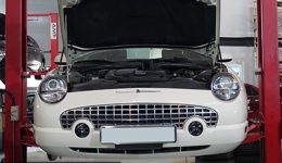 Ford Thunderbird Feature Image